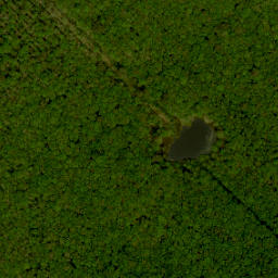 Satellite imagery of survey_point, NL