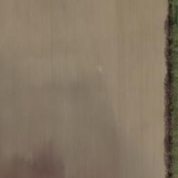 Satellite imagery of Gallberg, DE