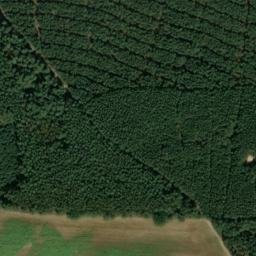 Satellite imagery of Güntherberg, DE