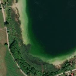 Satelita