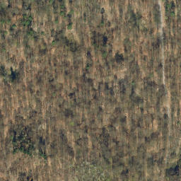 Satellite imagery of Schufutsberg, DE