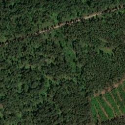 Satellite imagery of Schwedenstein, DE