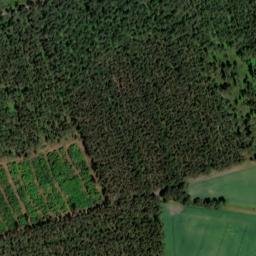 Satellite imagery of Schwedenstein, DE