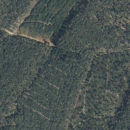 Satellite imagery of Hoher Berg, DE