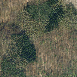 Satellite imagery of Schufutsberg, DE