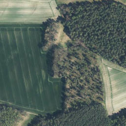 Satellite imagery of Steinkenberg, DE