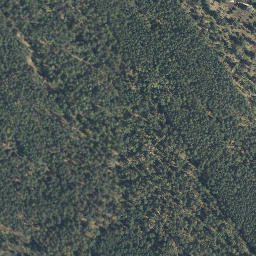 Satellite imagery of Steinkenberg, DE