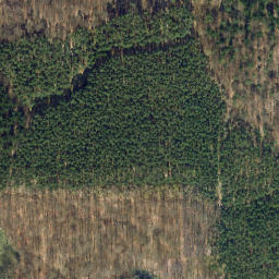 Satellite imagery of Schufutsberg, DE