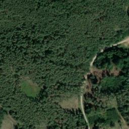 Satelita