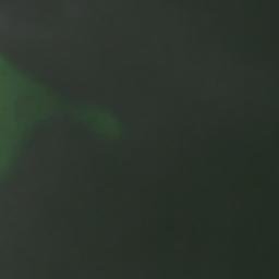 Satelita