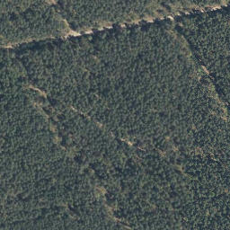 Satellite imagery of Höptberg, DE