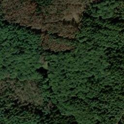 Satellite imagery of Wolfsstein, DE