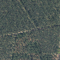 Satellite imagery of Höptberg, DE