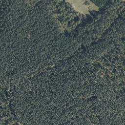 Satellite imagery of Steinkenberg, DE