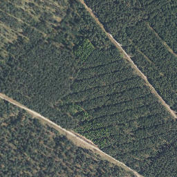 Satellite imagery of Steinkenberg, DE