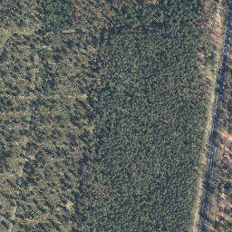 Satellite imagery of Höptberg, DE