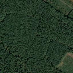 Satellite imagery of Johannisberg, DE