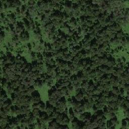 Satellite imagery of Березовый, KZ