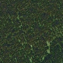 Satellite imagery of Yanks Peak, CA