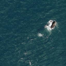 Satellite imagery of Maen Mellt, GB