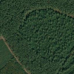 Satellite imagery of Großer Lindenberg, DE