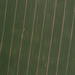 Satellite imagery of Hoher Berg, DE