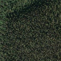 Satellite imagery of Cariboo Mountain, CA