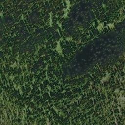 Satellite imagery of Yanks Peak, CA