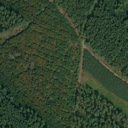 Satellite imagery of Großer Lindenberg, DE