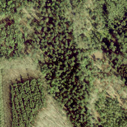 Satellite imagery of boundary_stone, NL