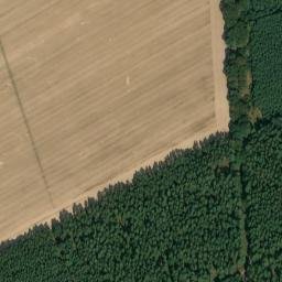 Satellite imagery of Großer Lindenberg, DE