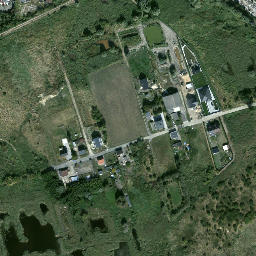 Satelita