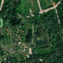 Satelita