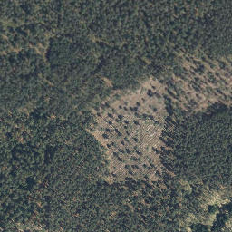 Satellite imagery of Schafwedeler Berg, DE
