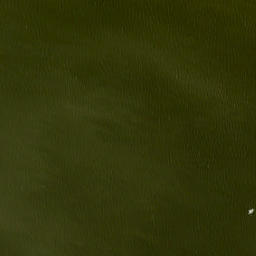 Satellite imagery of Friese Hoek, NL