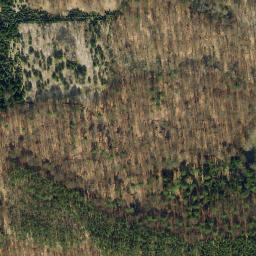 Satellite imagery of Der Burgwall, DE