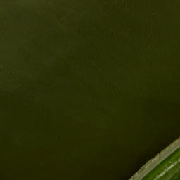 Satellite imagery of Friese Hoek, NL