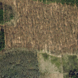 Satellite imagery of Der Burgwall, DE