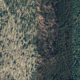 Satellite imagery of Welloh, DE