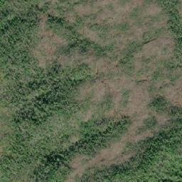 Satellite imagery of Nob Hill, CA
