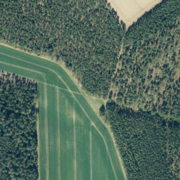Satellite imagery of Wittenberg, DE