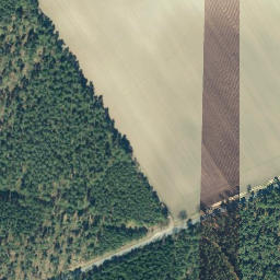 Satellite imagery of Wittenberg, DE