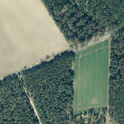Satellite imagery of Wittenberg, DE