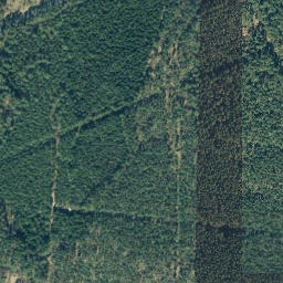 Satellite imagery of Wittenberg, DE