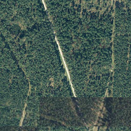 Satellite imagery of Wittenberg, DE