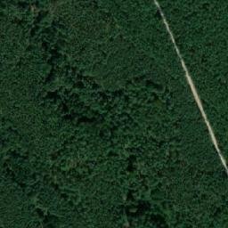 Satelita