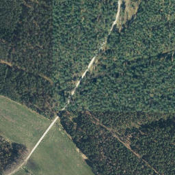 Satellite imagery of Wittenberg, DE