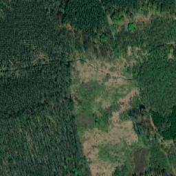 Satelita