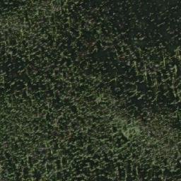 Satellite imagery of Duck Creek Mountain, CA