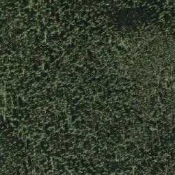 Satellite imagery of Duck Creek Mountain, CA